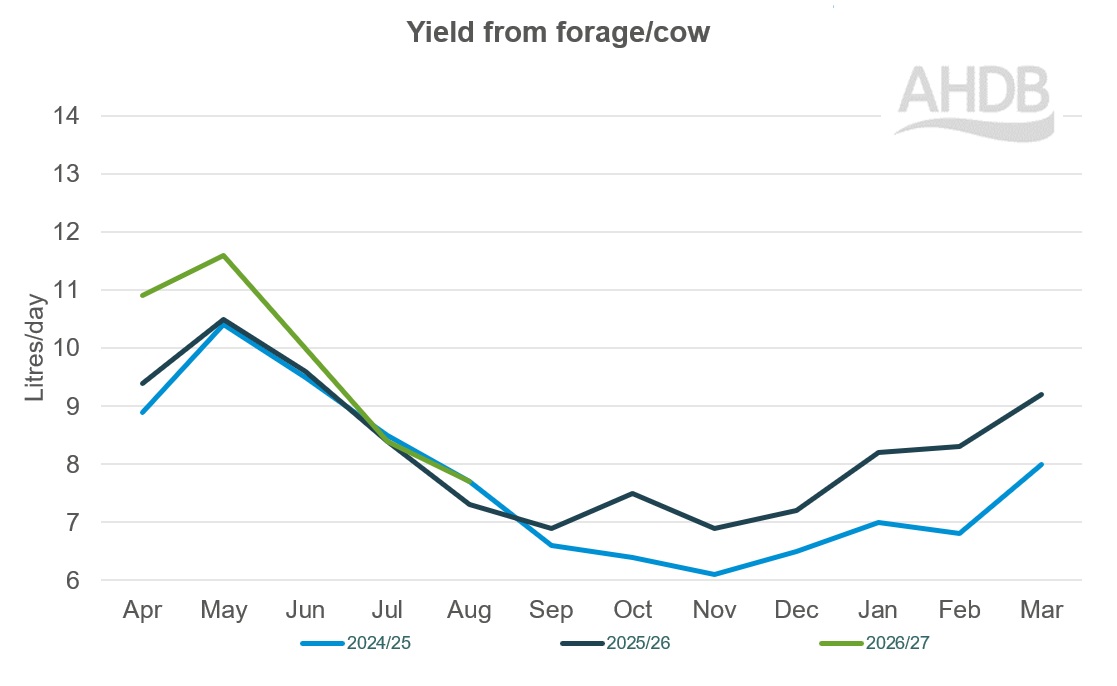 A line graph up to August 2026 detailing Kingshay yield from forage per cow graph last 3 years.